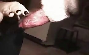 sarah sophia porno - handjob, animal sex porn