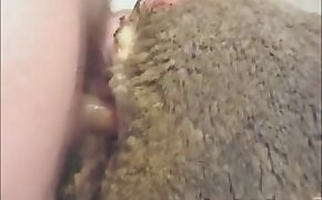 dude fucking sheep, sexy zoophile babes