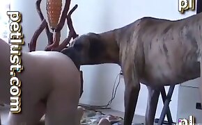 intense, anal fuck with animals