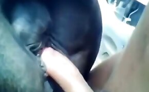 videos with beastiality, beastiality sex free videos